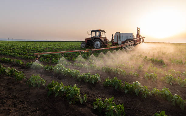 Best Insect Control  in Rankin, TX