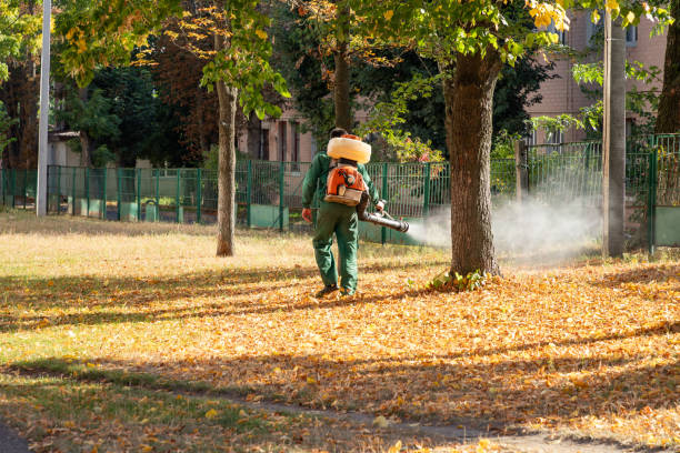 Best Insect Control  in Rankin, TX