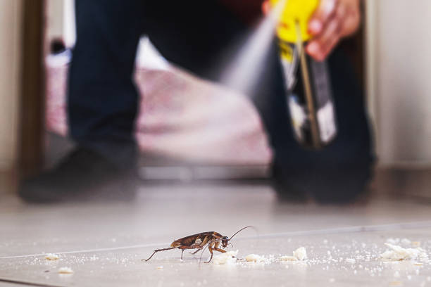 Best Bed Bug Extermination  in Rankin, TX