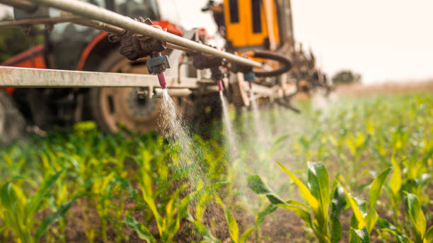 Best Mosquito Control Services  in Rankin, TX